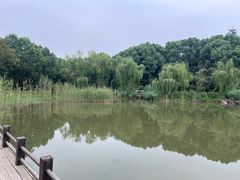 -穹窿山景区