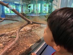 -上海昆虫博物馆