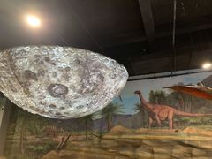 -辽宁古生物博物馆