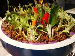 藜麦沙拉-木棉花开(中心城店)