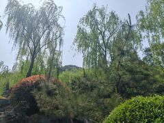 -环城公园
