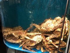 -蟹田居·活蟹料理(东城店)