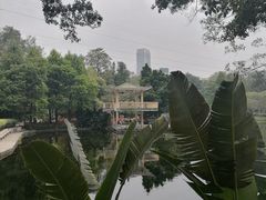 -晓港公园