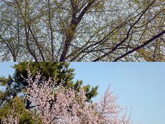 -长春市南湖公园