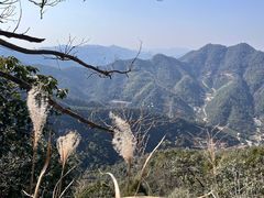 -午潮山国家森林公园