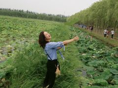 -西青郊野公园