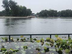 -东兴顺爆肚张