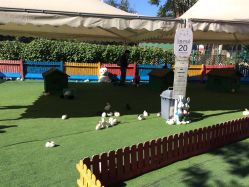 -萌宠亲子动物乐园(槐房万达店)