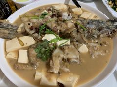 -煲来饱去冷水鱼