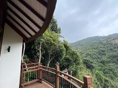 -三亚亚龙湾人间天堂鸟巢度假村