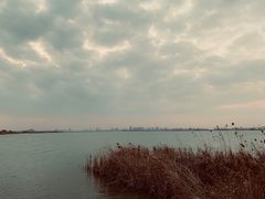 -阳澄湖半岛旅游度假区