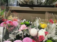 -鹿岛生活(熙地港店)