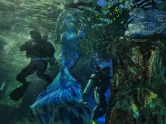 -秦皇岛新澳海底世界