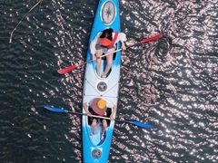 -动邦皮划艇·桨板·独木舟·团建户外运动俱乐部
