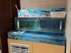 -犇鼎牛潮汕牛肉火锅(新辰里学清路店)