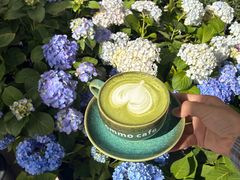 -ommo cafe(半岛城邦店)