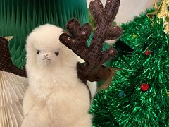 -玲婧胡同·生日蛋糕·餐厅(嘉里城店)