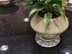 -高老庄新家宴(北斗星广场店)