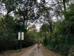 -上海佘山国家森林公园西佘山园