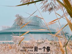 -保定东湖公园(莲池区)