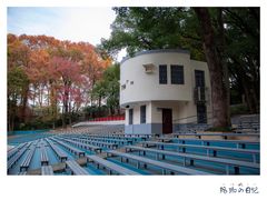 -武汉大学-樱园