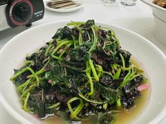 -源牌酒店·家常六安菜