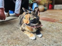 -老屋咖啡