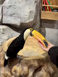 -Zoolung Zoolung动物主题公园(海信广场店)