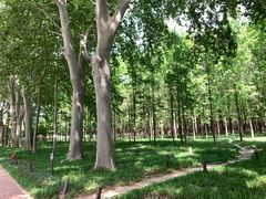 -河南省黄河迎宾馆