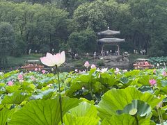 -承德避暑山庄景区