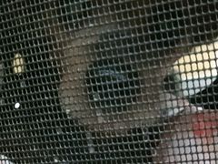 -美联众合动物医院·24h转诊中心