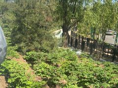 -太阳宫公园