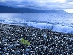 -七星潭蓝天广场