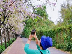 -南丰汇(新港东路店)