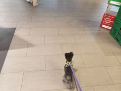 -宝山日月光中心