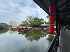 -侨美·唐荔园·40年地道粤菜