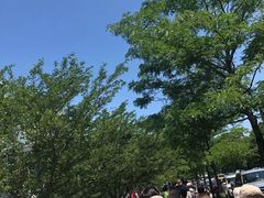 -伊莎贝拉嘉纳艺术博物馆