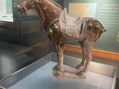 -衢州市博物馆