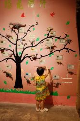 -酷嗒动物文化乐园(cutezoo西溪乐天城店)