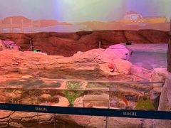 -沈阳海洋探索中心