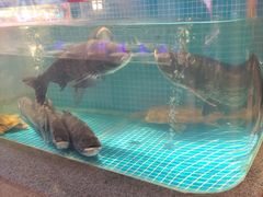 -鸽子侯·家宴·平价海鲜(市图书馆店)