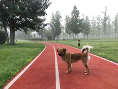 -林栖谷森林康养度假区