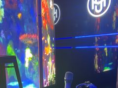 -唱吧麦颂KTV·派对(东坝店)