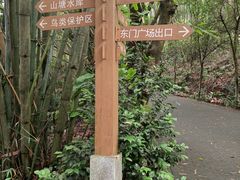 -滴水岩森林公园