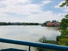 -上海长兴岛郊野公园