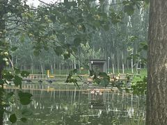 -东郊湿地公园