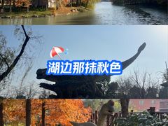 -自然谷恐龙园