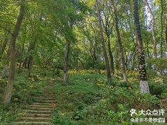 -老山国家森林公园