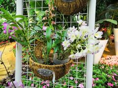 -石家庄市植物园