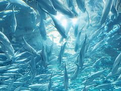 -上海海洋水族馆